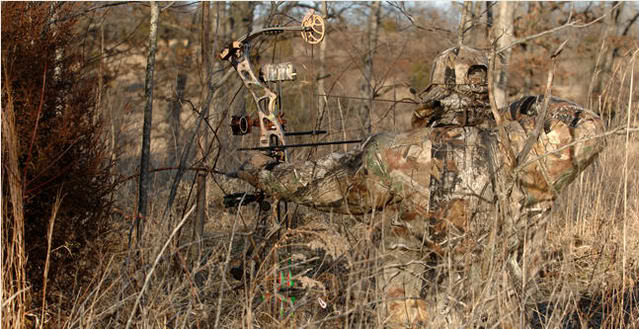    <b> Realtree ap </b>