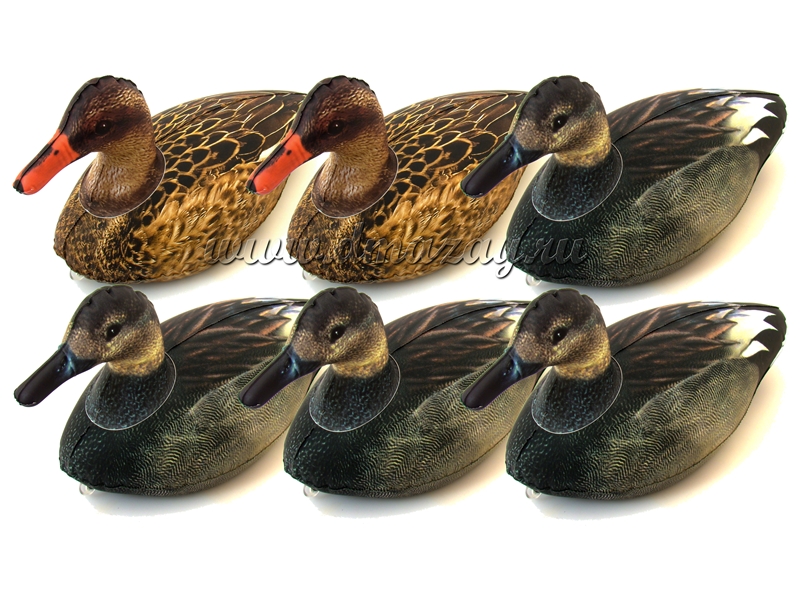       Cherokee Sports ( ) 6 PACK Inflatable Gadwall 966   