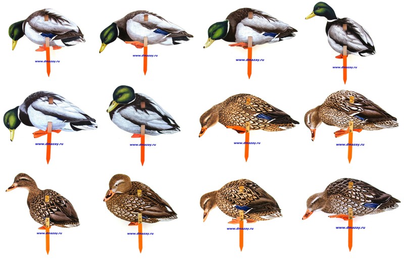     12  (6   6 ) Real-Geese PRO SERIES Silhouette Decoys Real-Mallards WF600