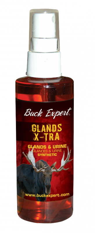Приманки Buck Expert для лося - GLANDS X-TRA, арт. 01MBSYNTXT