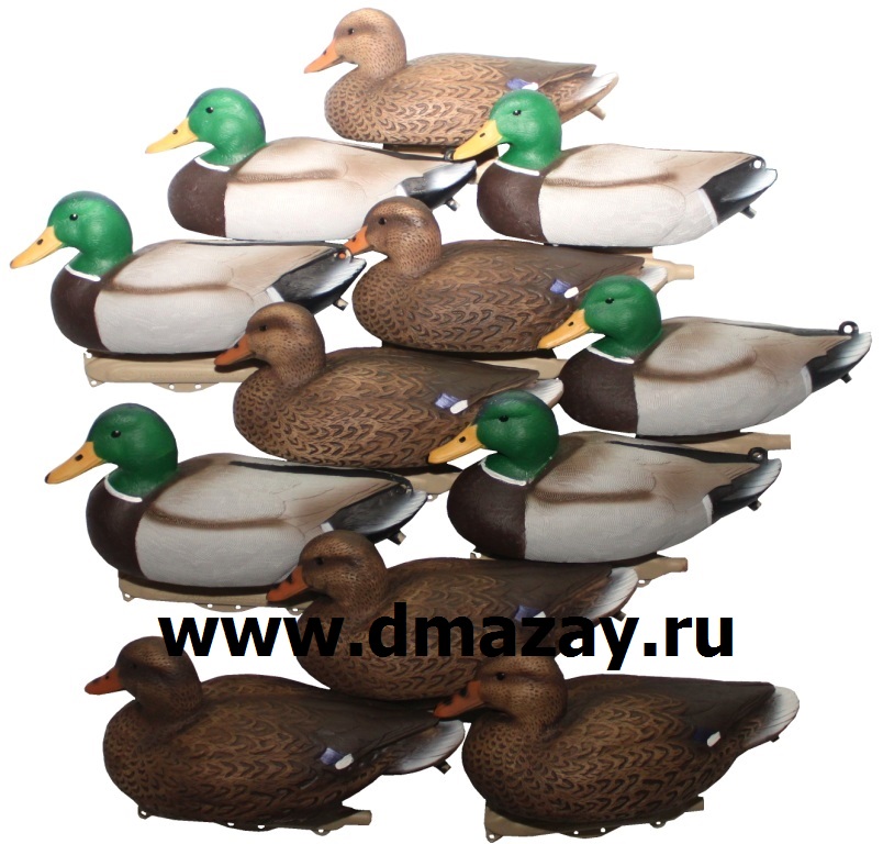 Чучела подсадные утки кряквы (селезни и самки) FLAMBEAU (ФЛЕМБО) 8030SDU плавающие (набор из 12 штук)