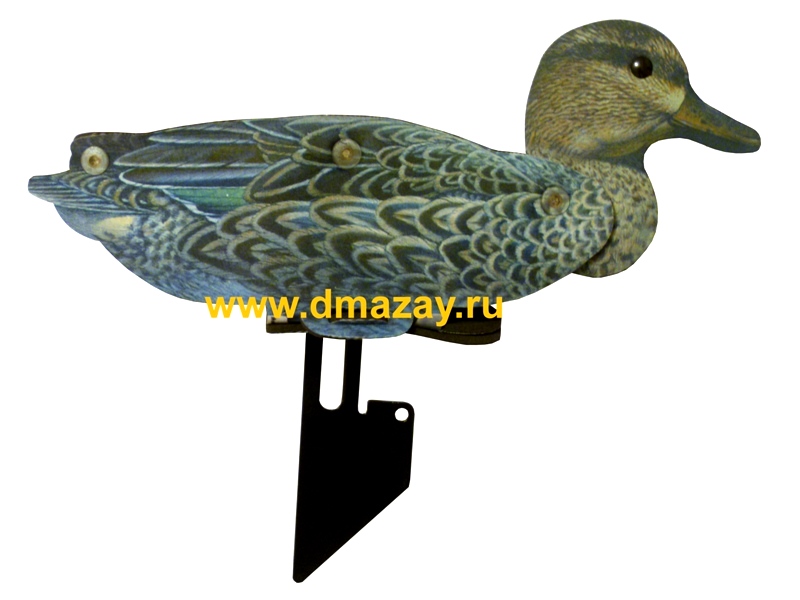     NRA FUD Green Wing Teal     (6 ) GW