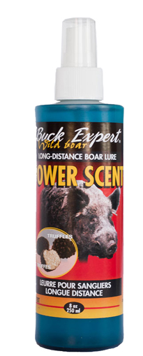  Buck Expert  ,  - , . 17BT