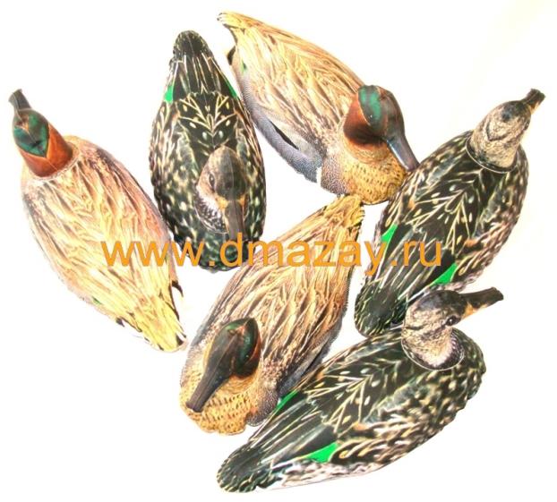  - Cherokee Sports      INFLATABLE Green Wing Teal 6  MF 956