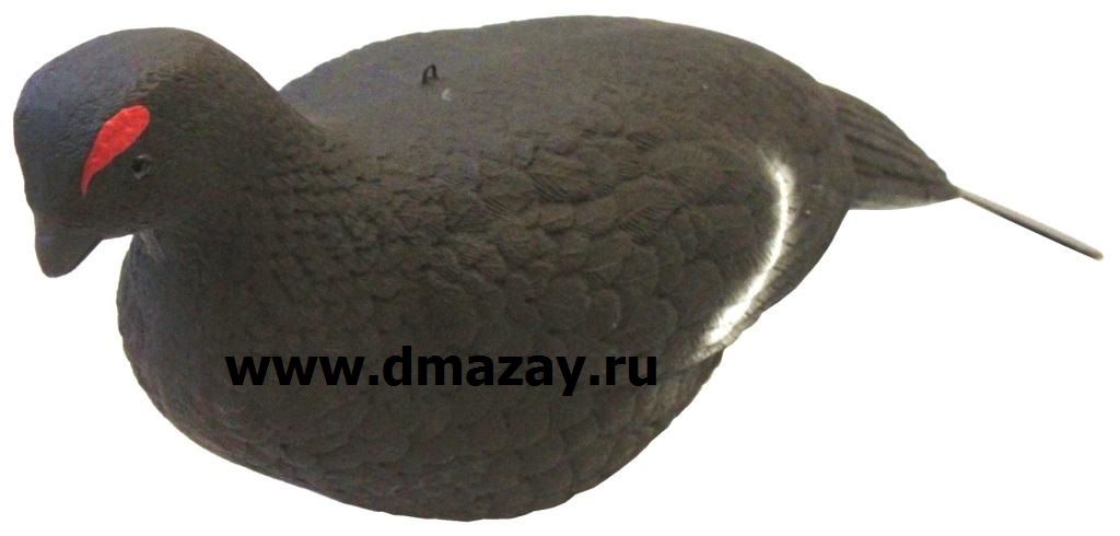 Чучело подсадное тетерев (петух) ТАЙГА пенополистирол